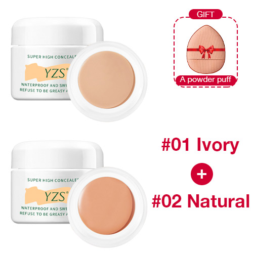 YZS LONG LASTING WATERPROOF CONCEALER