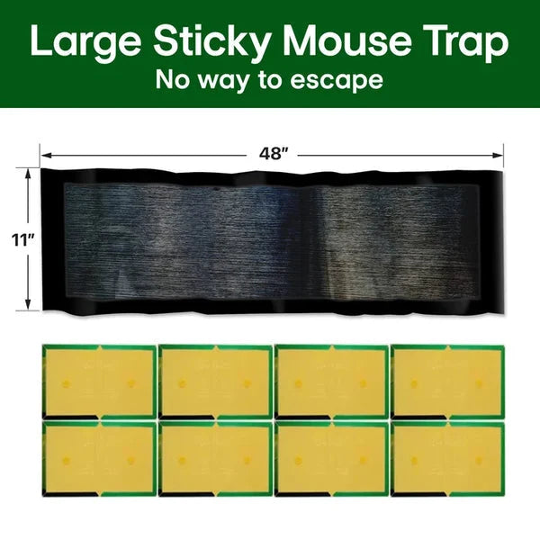 Limited-time 50% discount, North American sales have exceeded 500,000 units 🐭 Large sticky mouse trap 💪