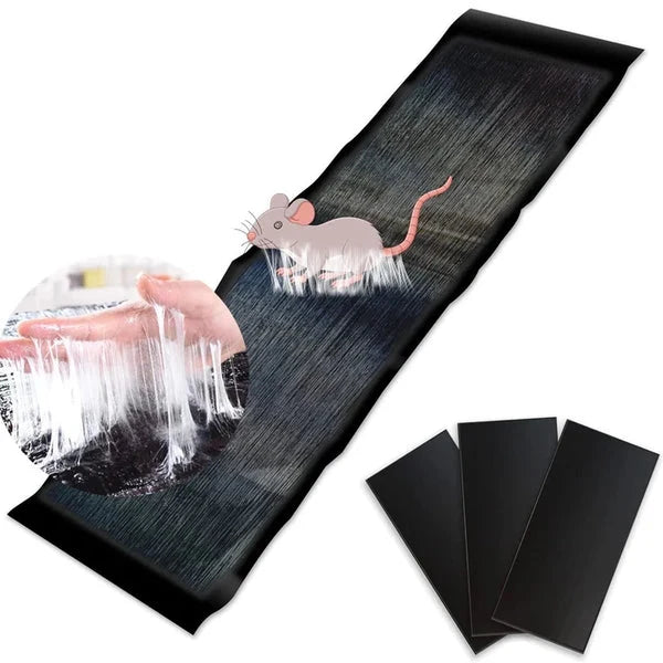Limited-time 50% discount, North American sales have exceeded 500,000 units 🐭 Large sticky mouse trap 💪