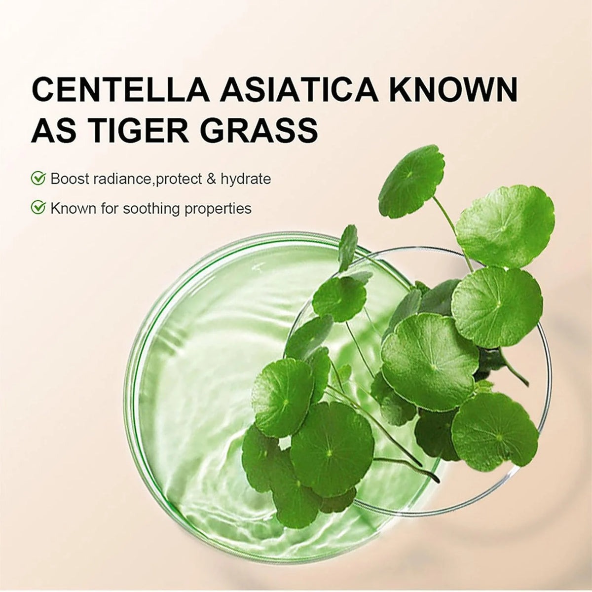 Hydrating CC Cream Foundation with Centella Asiatica